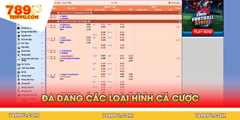 Đa Dạng Các Loại Hình Cá Cược