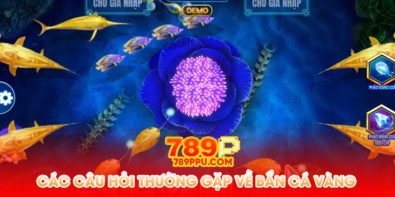 Các câu hỏi thường gặp về bắn cá vàng
