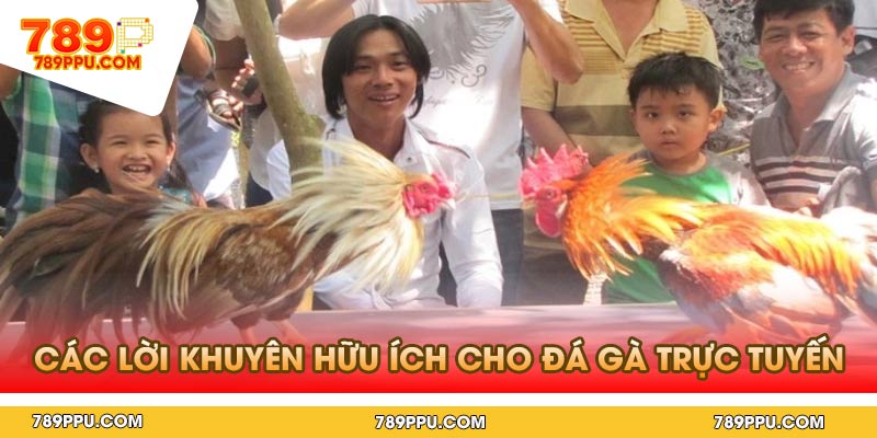Các lời khuyên hữu ích cho đá gà trực tuyến