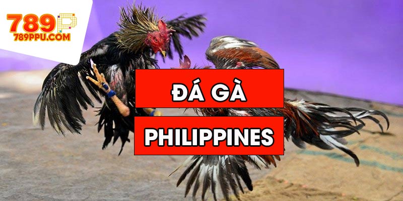 Đá Gà Philippines