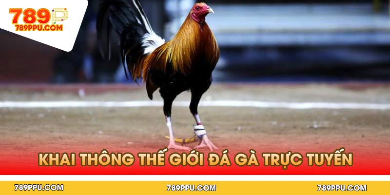 Khai thông thế giới đá gà trực tuyến